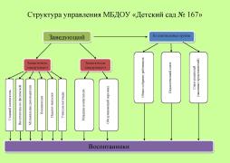 Структура управления МБДОУ "Детский сад № 167"